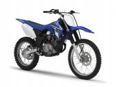2008 Yamaha TT-R125LE photo